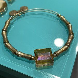 Alex and  Ani Bracelet